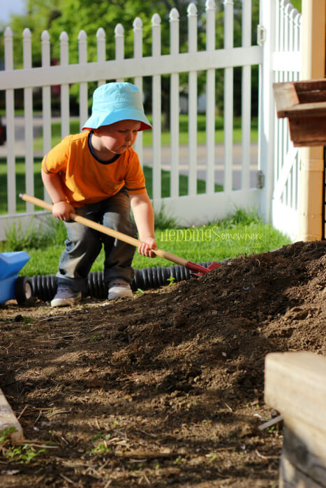 117 digging in the compost