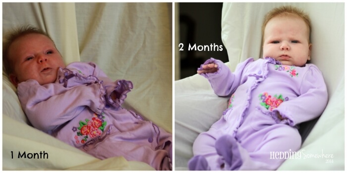 Eva Joy 1-2 Months